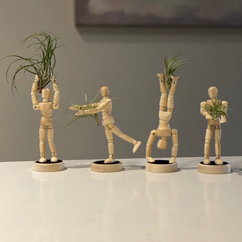 Air plant planter, mini man fun planter
